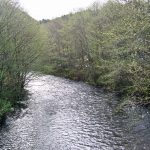 image-68
