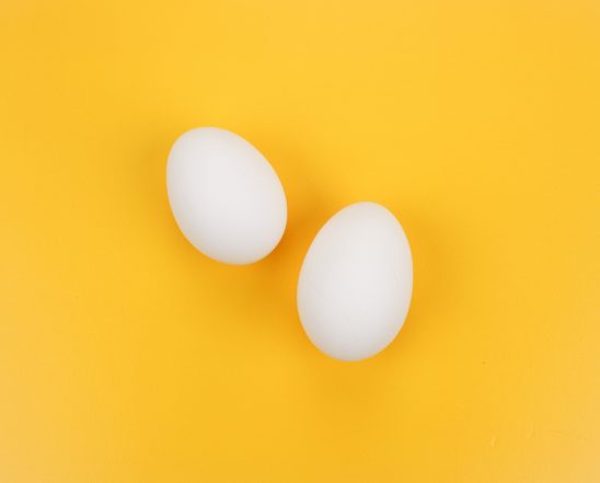 egg-1822807