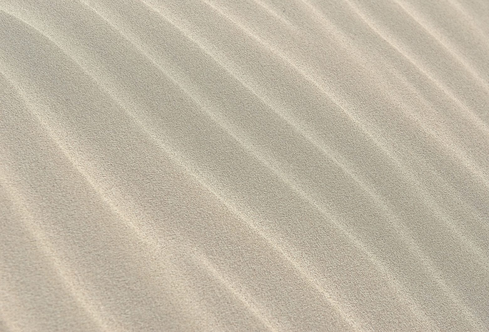sand-2005066
