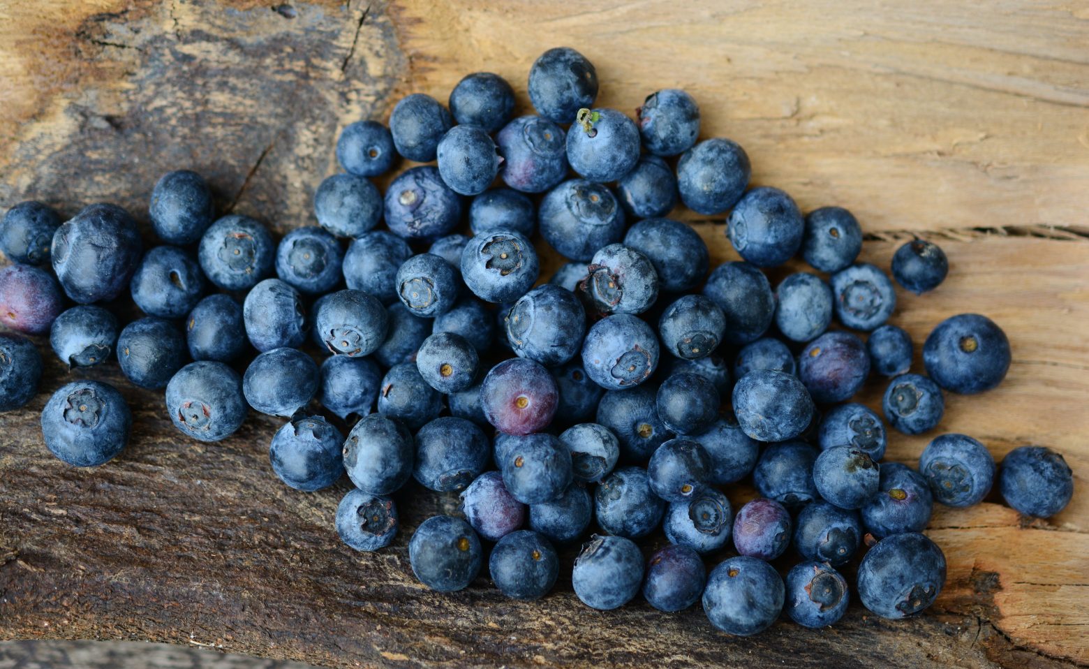 blueberries-2270379
