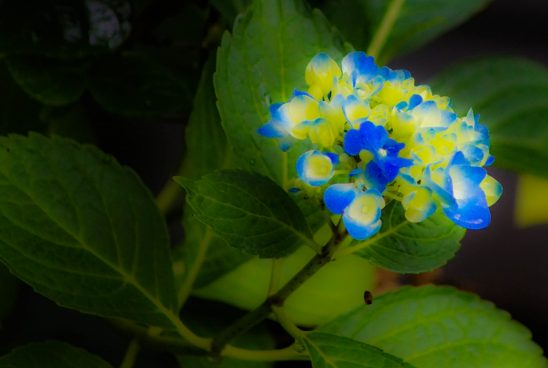 DSC05640