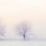 winter-landscape-2571788