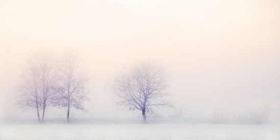 winter-landscape-2571788