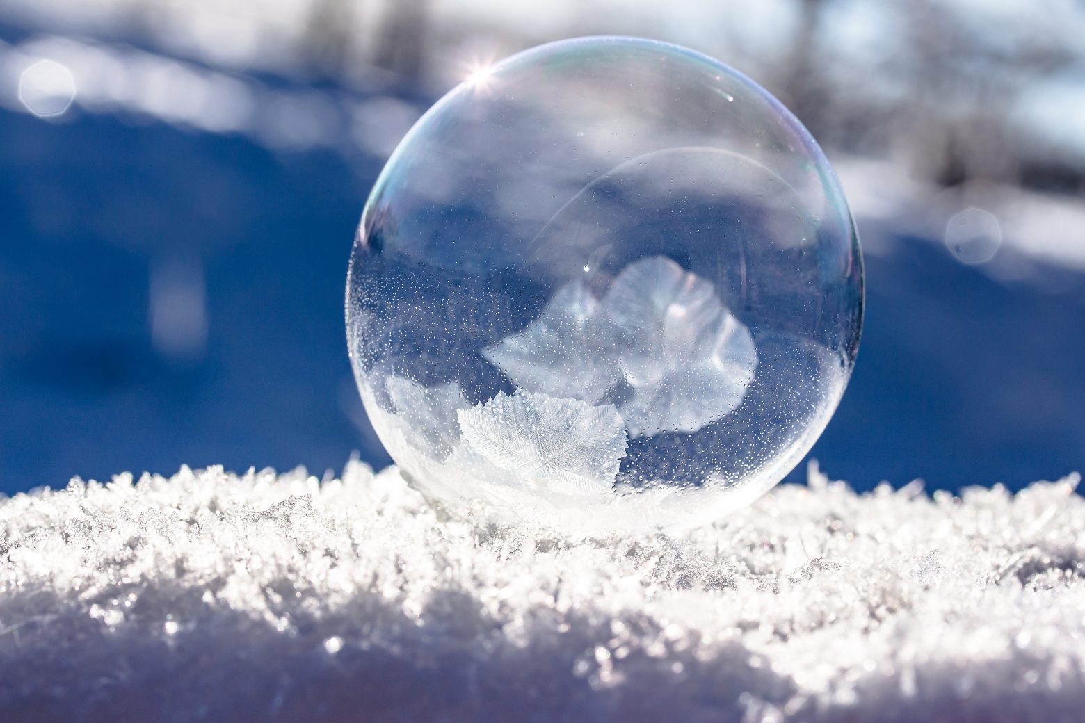 frozen-bubble-1986676