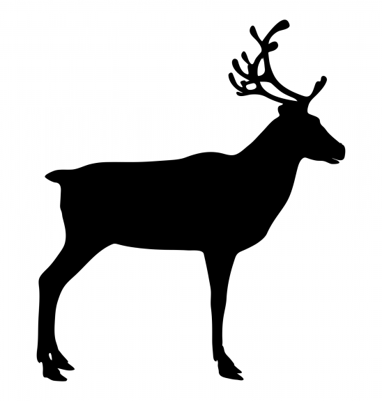 reindeer-2690234