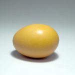 egg-1554129