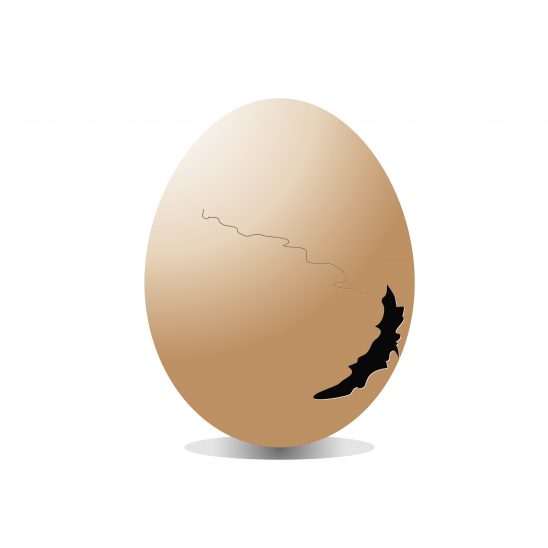 egg-1587640