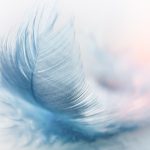 feather-3010848