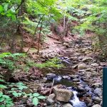 2015-10-02 Sanderson Brook Falls Mass 15 for CPD