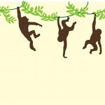 monkeys-909278