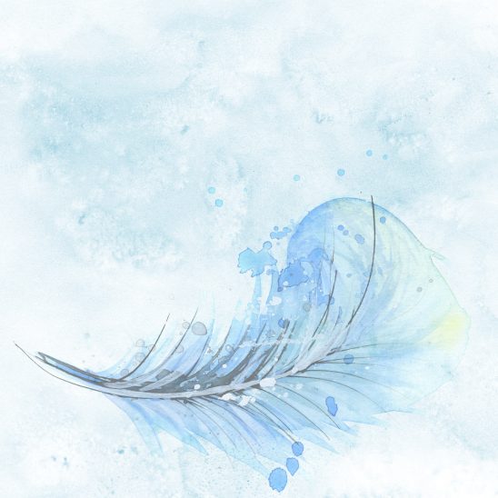 feather-1588819