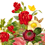 flower-bouquet-1131891